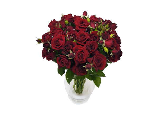 Arranjo de Mini Rosas Vermelhas
