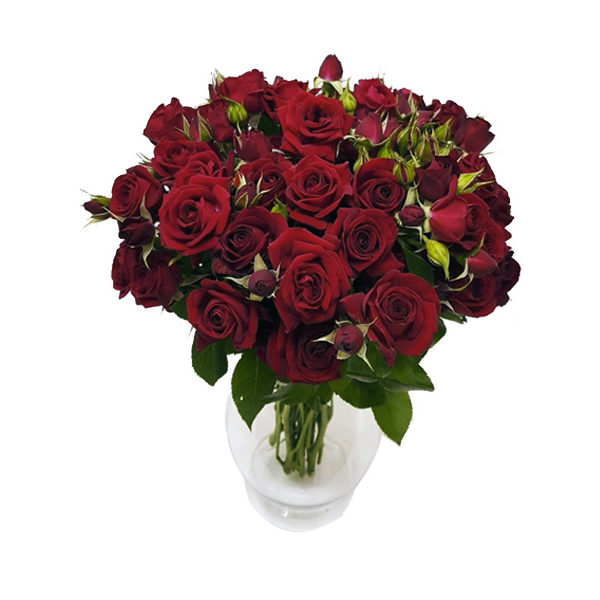 Arranjo de Mini Rosas Vermelhas
