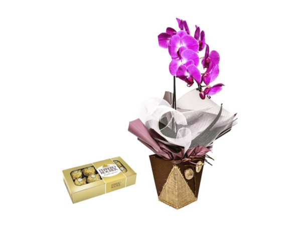 Orquídea Phalaenopsis Lilás + Ferrero Rocher