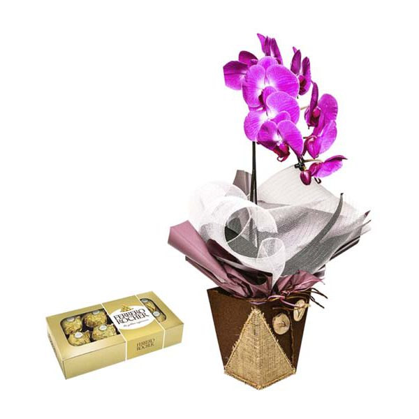Orquídea Phalaenopsis Lilás + Ferrero Rocher