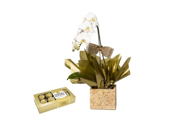 Orquídea Phalaenopsis Branca + Ferrero Rocher