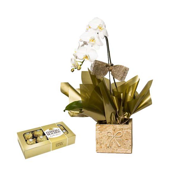 Orquídea Phalaenopsis Branca + Ferrero Rocher
