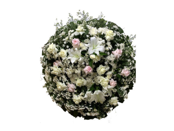Coroa Branca e Rosa